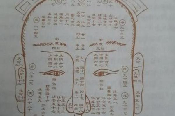 识人高手必备一印一眼，揭秘面相的秘密