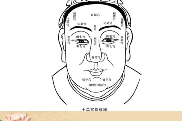 识人高手必备一印一眼，揭秘面相的秘密