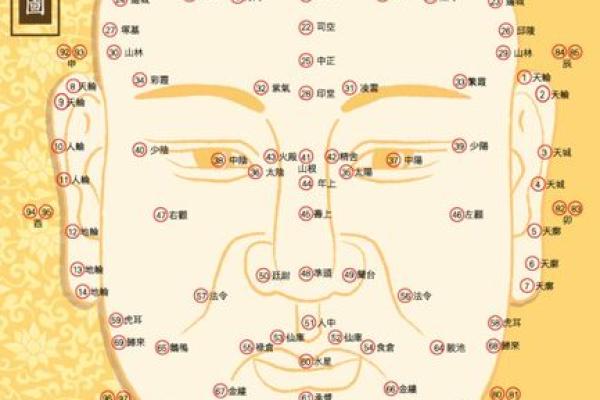 国民老公面相揭秘：揭秘明星们的旺夫面相密码