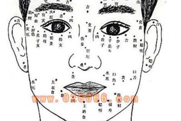 腹大面相揭秘：揭秘面相与运势的惊人关系