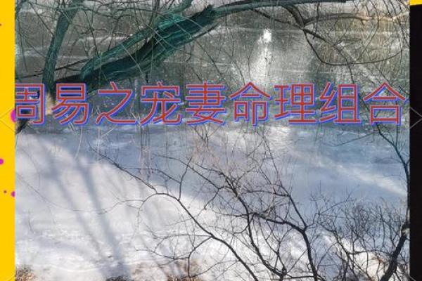 揭秘：地土满命格，揭秘你的人生运势密码