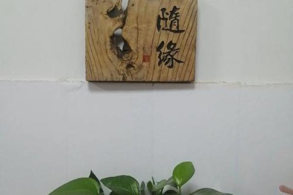 木字公司名字背后的深刻含义与商业价值