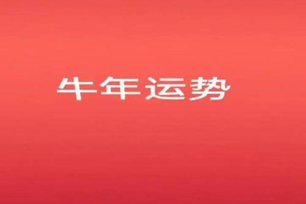 牛年33岁，揭秘你的运势密码