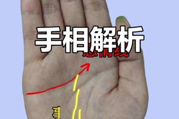 明星手相揭秘：手相图解大全，揭秘娱乐圈名人的命运密码