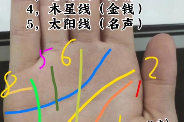 揭秘手相奥秘：手纹揭秘你的命运与财运