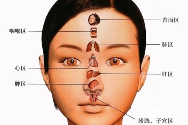 面相解析：揭秘五官之间的神秘联系，谁才是命运的主宰？