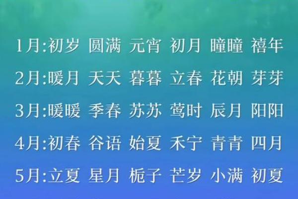 如何选择龙岩的起名公司？最权威的五大推荐！