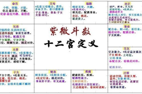 紫薇斗数排盘技巧大揭秘，轻松掌握命运奥秘