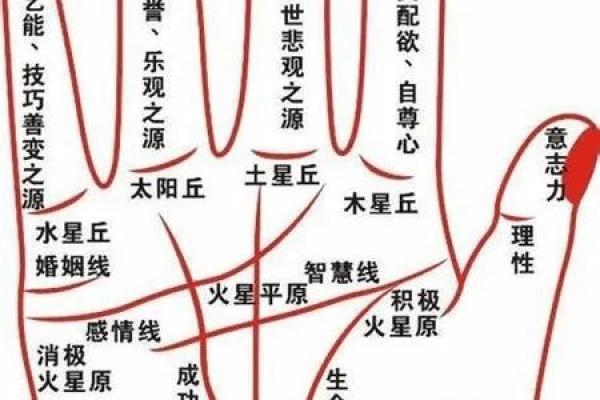 手相揭秘：你的命运里藏有几个孩子？快来测测吧