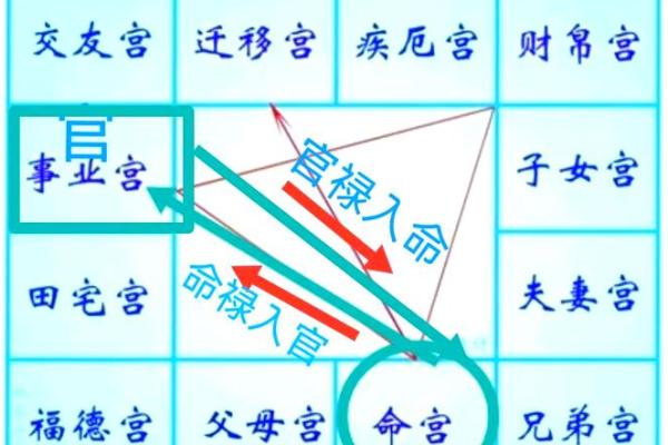 紫薇排盘分析：轻松解锁命运密码