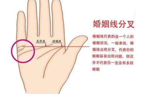 揭秘手相婚姻线：男性必看的手相婚姻线大全图解
