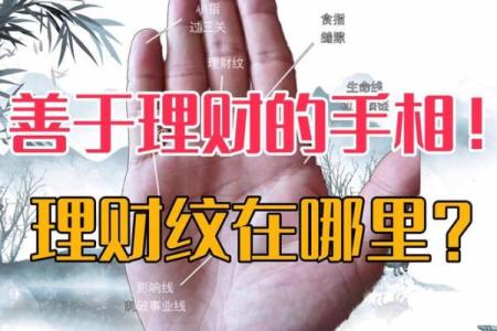 右手相看左手，揭秘手相中的财富密码