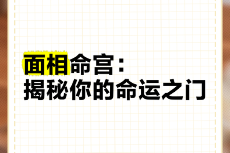 揭秘面相秘诀：一眼看穿命运，你的运势如何？