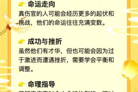 孟非命理分析：如何运用五行改变命运