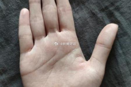 揭秘手相奥秘：一招看透命运，让你的人生从此改写