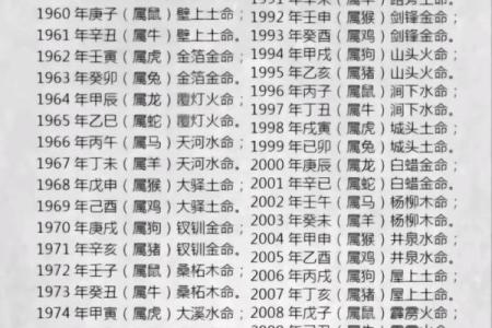 金兔送福，43岁属兔五行金命，财运亨通，爆款来袭