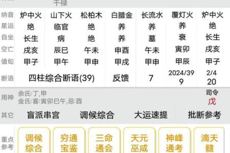 时家排盘软件：轻松解锁精准命运分析