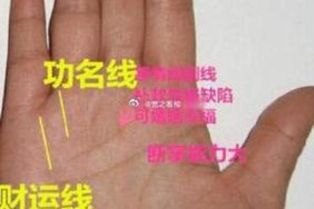 揭秘手相奥秘：男人手相大全图，一图掌握运势财运