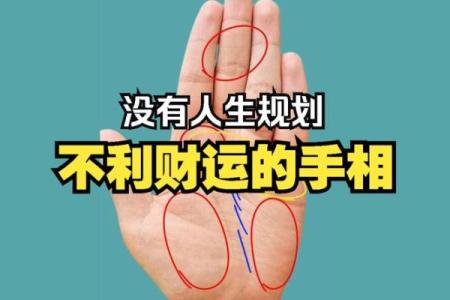 揭秘成功人士的手相密码：掌握财运、事业双丰收的秘诀