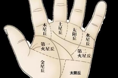 揭秘手相奥秘：必备手相图解大全，助你洞察命运与运势