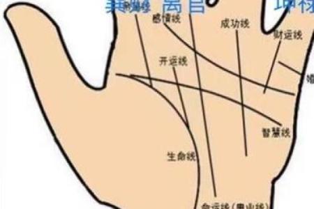 邵伟华手相秘籍：解锁命运之谜，掌握人生航向