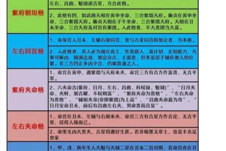 从零开始学紫微斗数排盘，揭开命运的神秘面纱