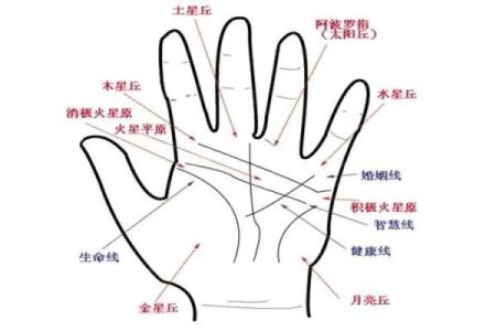 手相川字纹揭秘：财运亨通，人生赢家必备特征