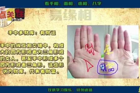 揭秘女性命运：手相图解大全，一招看透生子运势