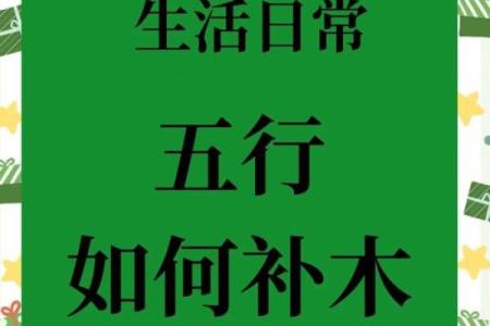 如何调和五行木弱？专家教你改善木气不足