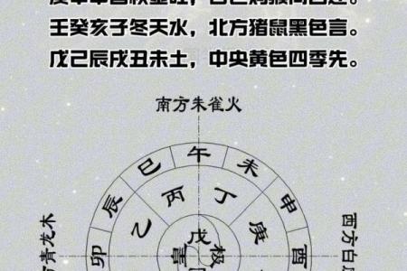 天干地支大揭秘