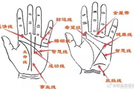 右手木星星纹揭示财运亨通，手相大师揭秘成功秘诀