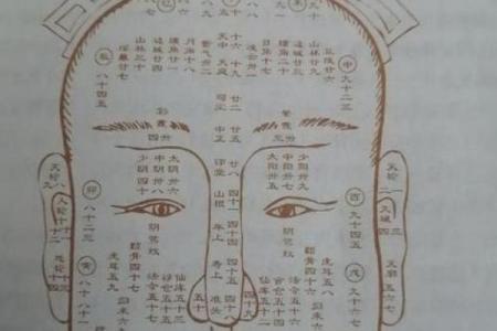 识人高手必备一印一眼，揭秘面相的秘密