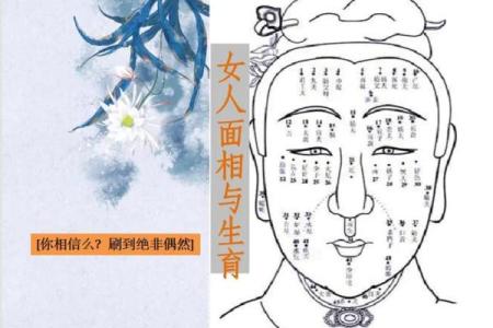 腹大面相揭秘：揭秘面相与运势的惊人关系