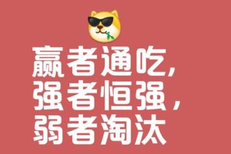 给公司起名字的黄金法则，助你赢在起跑线