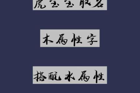 木字公司名字背后的深刻含义与商业价值