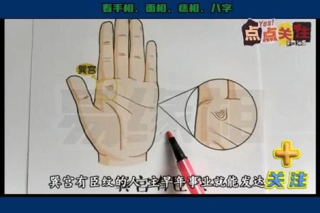 揭秘手相奥秘：一眼看穿命运的秘密