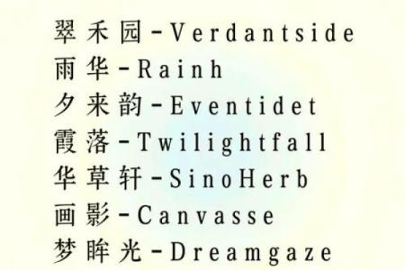 如何为公司取个既独特又好听的名字