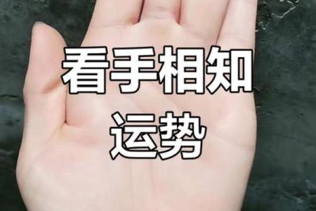 明星手相揭秘：手相图解大全，揭秘娱乐圈名人的命运密码