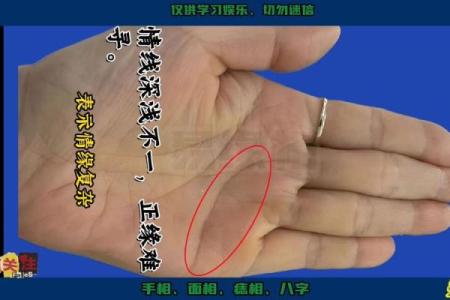 揭秘手相奥秘：手纹揭秘你的命运与财运