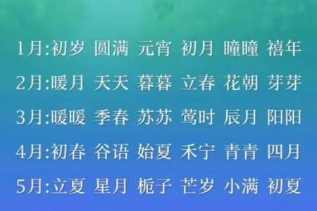 如何选择龙岩的起名公司？最权威的五大推荐！