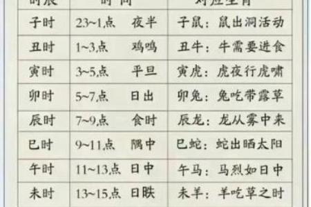 用命理排盘解密命运轨迹，预测人生重大转折