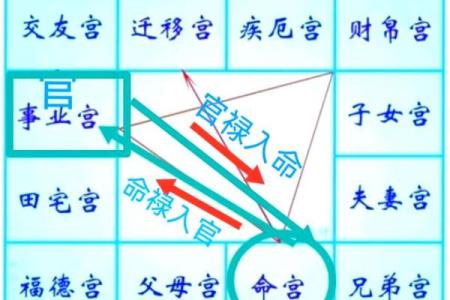 紫薇排盘分析：轻松解锁命运密码