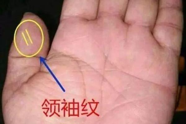 揭秘当官手相：掌握这9大神秘标志，助你事业腾飞