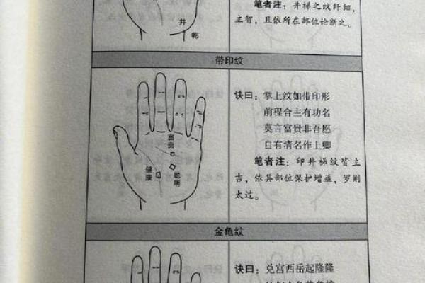 揭秘手相奥秘：左手图谱，教你读懂命运之谜