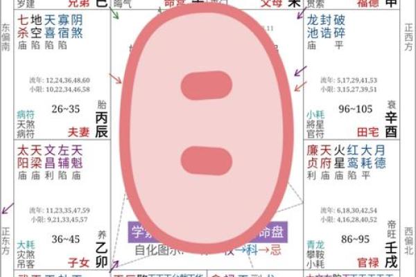 深度解析太飞排盘：你不知道的命运密码