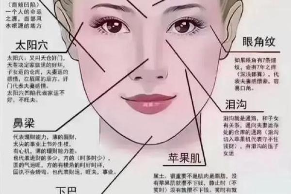 高鼻梁面相揭秘：揭秘成功人士的秘密武器