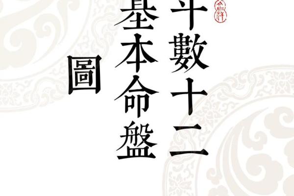 探索卜易居紫微斗数排盘的奥秘，精准预测未来运势