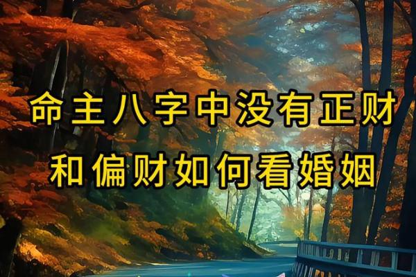 通过免费生辰八字查贵人，开启你的幸运人生