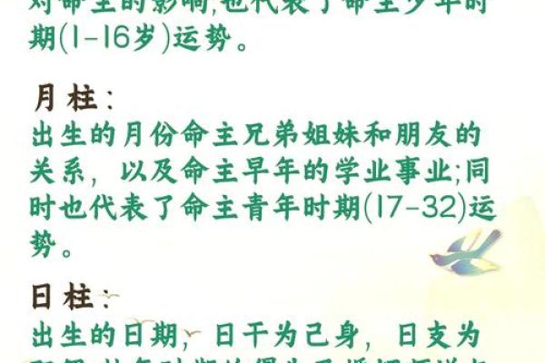 八字身旺与健康：命主容易遇到哪些问题？