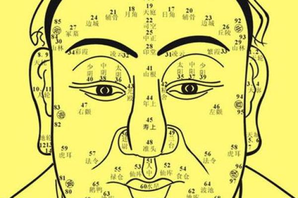 揭秘面相魅力：读懂面相，掌握命运的秘密钥匙
